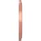 Ekena Millwork PVC Medallion (Canopies up to 9 1/2"), 16"OD x 3 1/2"ID x 1 3/8"P, Metallic Champagne Pink CMP16TRFCP - alternate 3